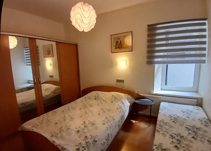 Apartman Big In Center Kaunas