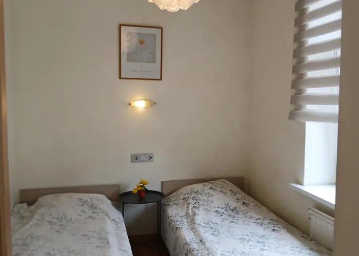 Big In Center Apartman *